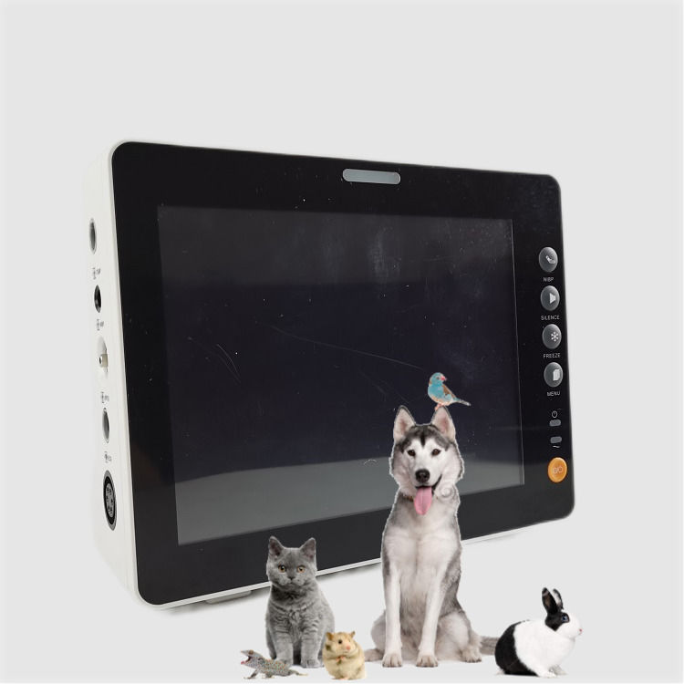 Monitor de signos vitales de 8 pulgadas duradero para perros, gatos y ovejas, excelente calidad