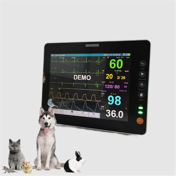 Monitoreo de signos vitales de 8 pulgadas Display TFT de tamaño mini duradero Monitor de animales portátiles veterinario