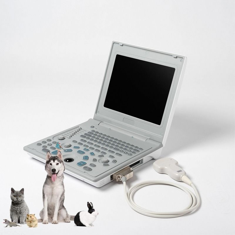 Máquina de ultrasonido lineal de diagnóstico externo para hospital, máquina de ultrasonido para perros, computadora portátil, escáner de embarazo para vacas y ovejas