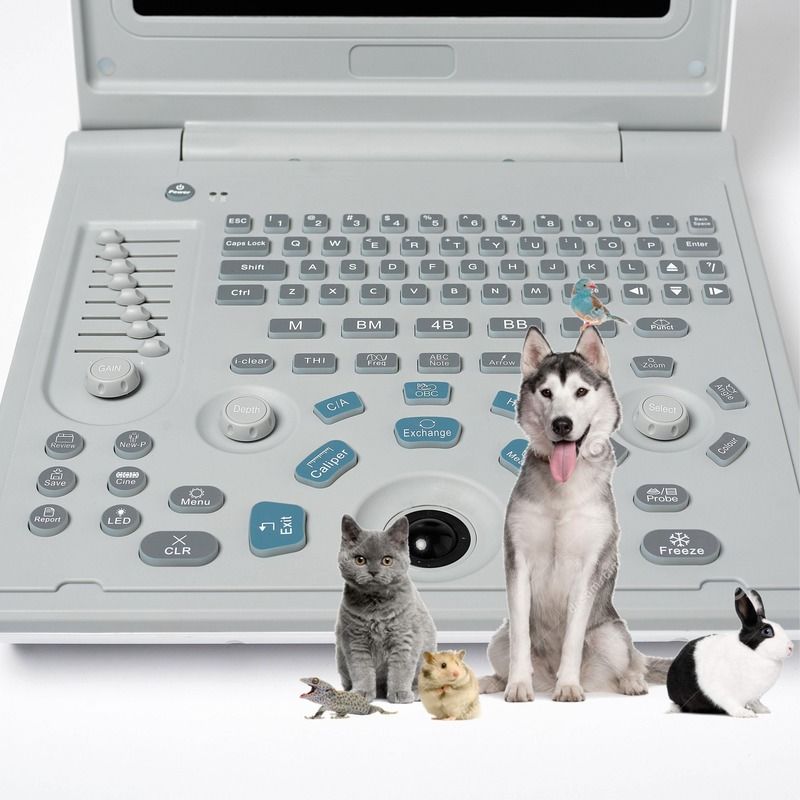 Máquina de ultrasonido lineal de diagnóstico externo para hospital, máquina de ultrasonido para perros, computadora portátil, escáner de embarazo para vacas y ovejas